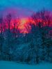 the sunset in my back yard
