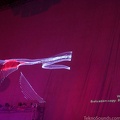 IMG 0074