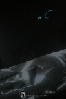 IMG 0025
