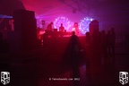 IMG 0003